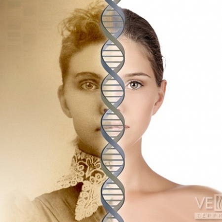 Программа «Омоложение по ДНК коду»